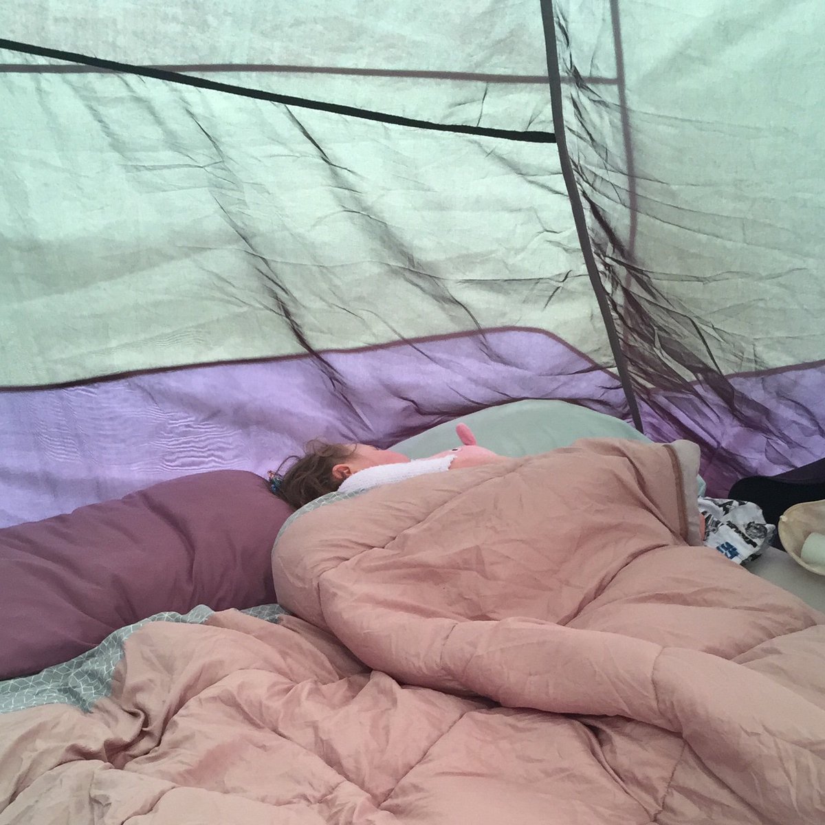 SamPlatform31's tweet photo. We’re recharging after late night eats and a morning of playing @VeganCampOut. Getting ready for round 2!  #vcampout https://t.co/Ycm5CKP10a