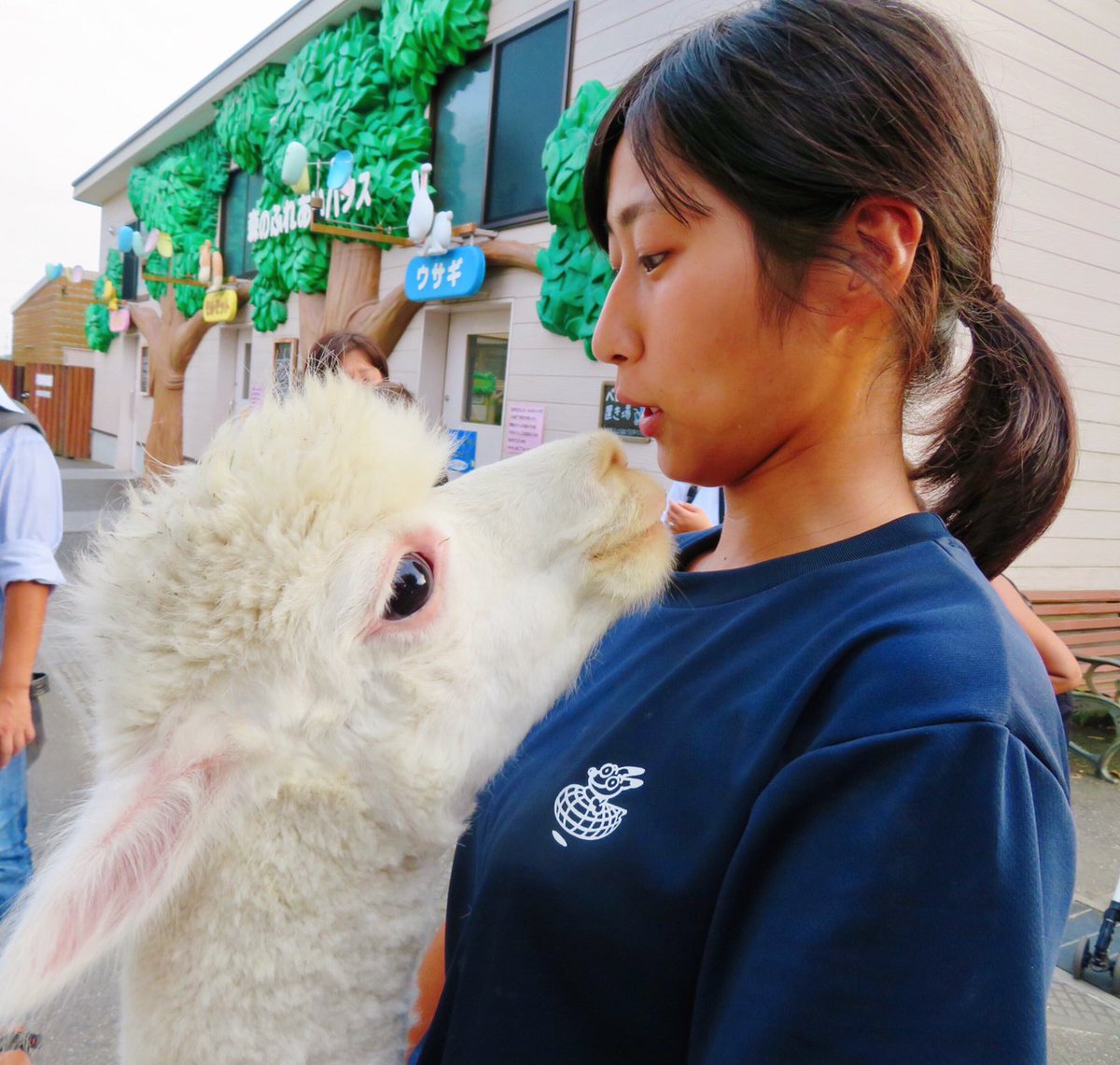 dogfood_star's tweet photo. さくまし（♥・ω・♥）
#東武動物公園 #アルパカ #ましろ #SKRI https://t.co/V4CBCDEc5v