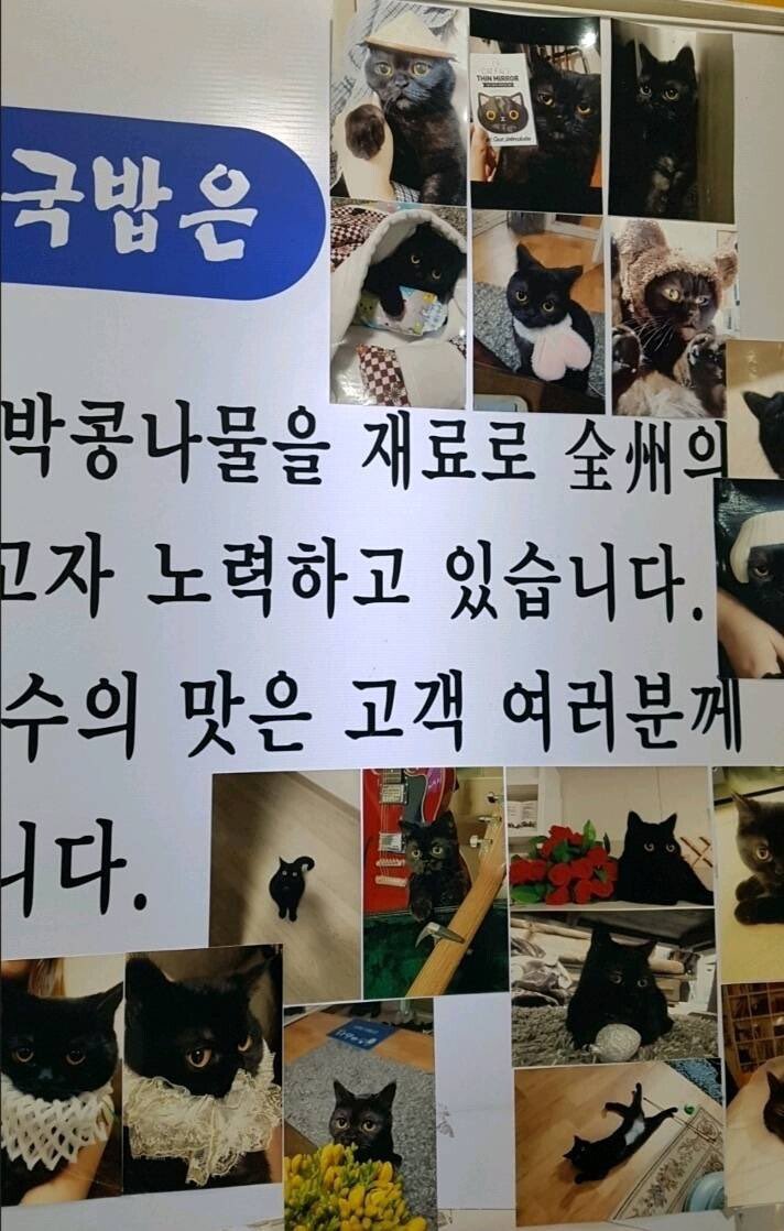 fallenmilk's tweet photo. 고양이를 자랑하고 싶었던 국밥집 사장님 https://t.co/L1TyZ3eQss