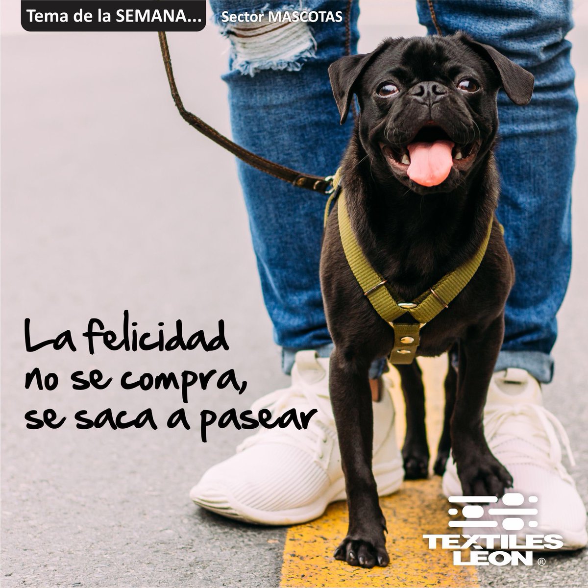 textiles_leon's tweet photo. Antes de empezar, a tu #mascota debes pasear. #TextilesLeon https://t.co/4EkCYVRM9I