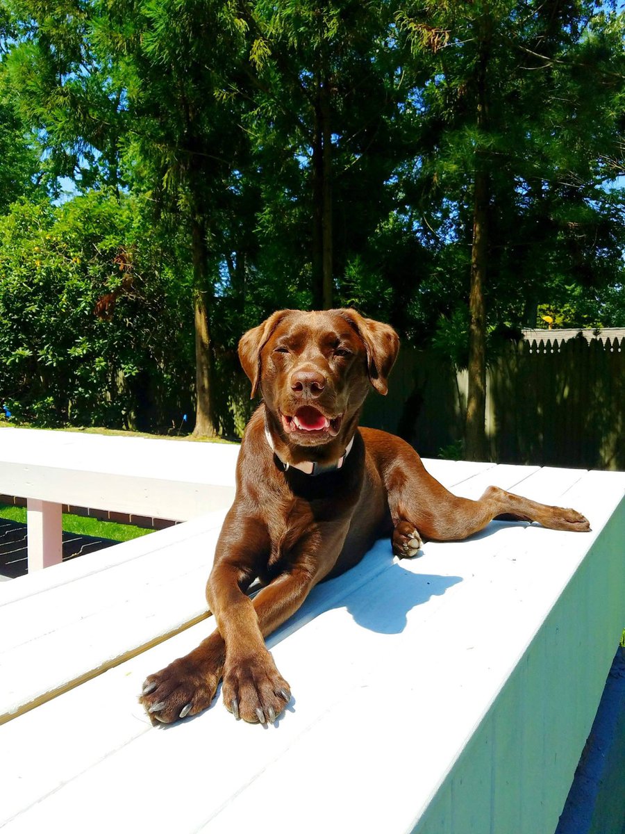 JustLove tweet media