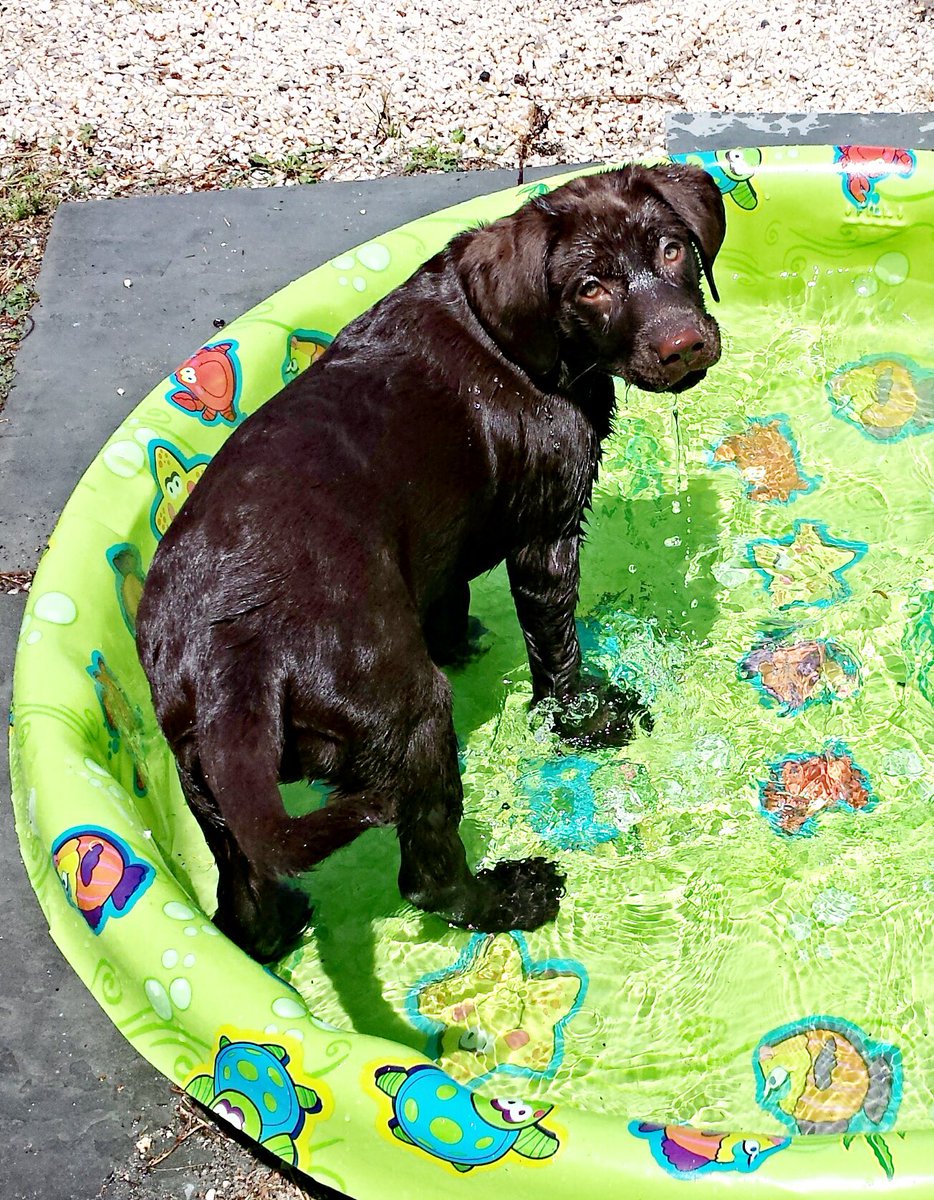 JustLove tweet media