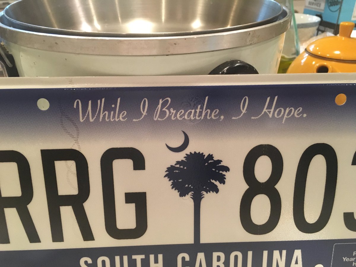 HominyGrill's tweet photo. Just showed up in mail. Are license plates now produced by Hallmark? https://t.co/m0RlLFi9EV