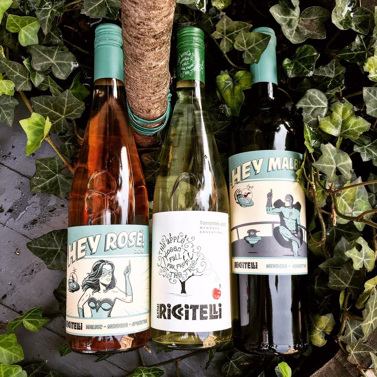 Malbeckvinbar's tweet photo. Hvis du ikke kan vente til vinsmagningen med @RiccitelliWines fredag d. 6. september, så køb et Riccitelli sæt i vores webshop https://t.co/hpRSoQOx41 pris 280,- kr førpris 445,- !! gælder indtil d. 4. september —> https://t.co/4joR7BQoLu
#tilbud #vin #argentina #smagning https://t.co/8stSWAUm2Z