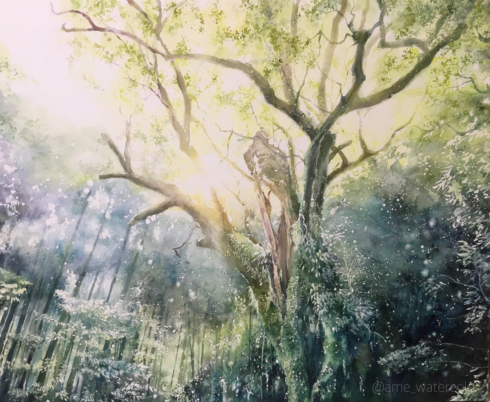 Tr Watercolor 佐賀の風景を描いた水彩画です とても綺麗な場所です T Co Okjh3xmqcf Twitter