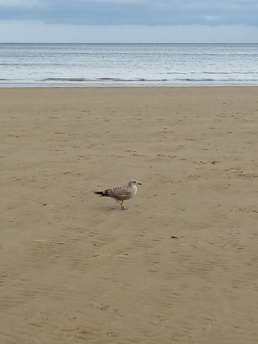FileyFlat1's tweet image. After the rain shower #Filey beach