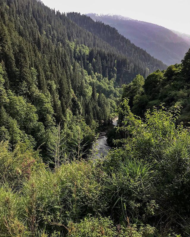 AllAboutSalil's tweet photo. When does the path we walk on lock around our feet? When does the road become a river with only 1 destination? 
_________________________________________________
.
.
.
.
.
.
.
.
.
.
.
#Instagood #Photooftheday #photography #travel #traveler #journey #ins… https://t.co/KmI0lGCYtp https://t.co/LFCoVegsvP