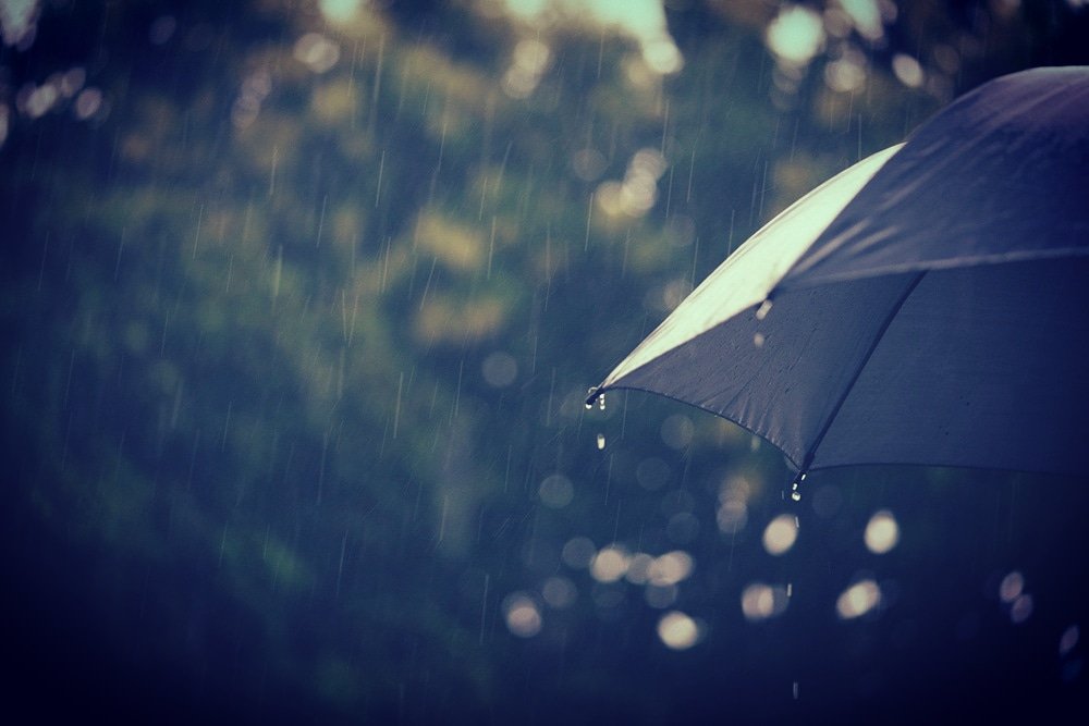 SonicActiveBand's tweet photo. Its a wet Saturday over here, a hot cup of tea & some awesome rock music would be the perfect combo to shake off the rainy day blues.
How's your Saturday going, rainy, sunny, hot cold?
What would make your Saturday perfect?
#rainyday #wetsaturday #goingpublicnaija #sonicactive https://t.co/C4d6CzZcW9