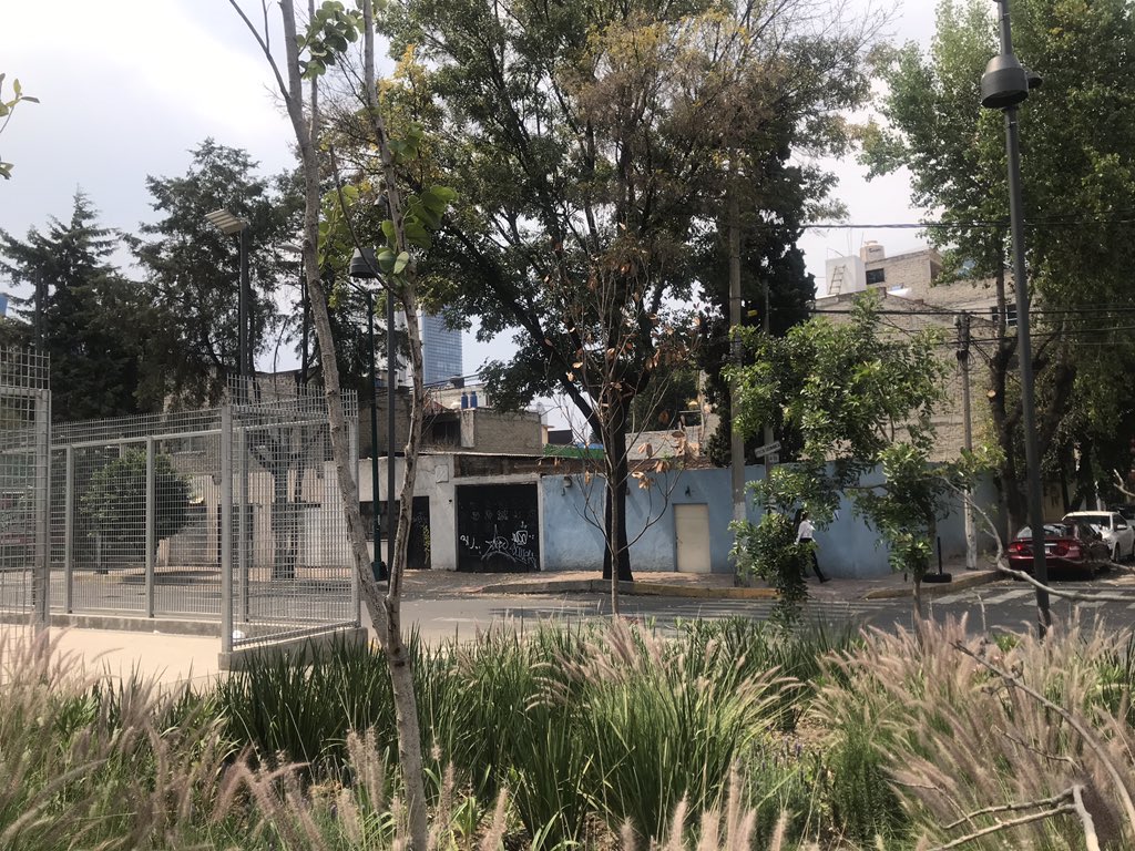 monipozz's tweet photo. @MHAlcaldia @AndadorFC @GustavoGarciaMH @PoligonoMH @dra_diana @CuadranteME @ArbolesMx @BeGrandVecinos @betovaldevilla @patriciamercado @tmullergarcia @ReyPeatonCDMX @vecinosunidosmx @eje_universidad @InMixcoac @sanjoseinsurgen @c_insurgentes @floresaquino @andonicg @susanakana @5antaMerlina @Tahipat @sylviaroll @seduviCDMX @XochitlGalvez @MHPoligono @tenejapanboy @ARHipodromo @Ampl_Granada @TorreAguaUmbral @DanDGowen @SinResultadosMH @galvanochoa @AdrianaT9735 @LadyGrupoModelo @TORRERENOIR @teremendezv @PolancoVita @RedActivismo @syladame @Aletz81 @Espejored @AbiliaInmo @ClearChannelMX @MoratoriaUrbana @NoCorredor @SoyVillaCortes @GustavoSilvaV @SM_Chapultepec @GAETASPRINGALL https://t.co/axZwh8em51