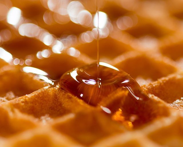 MancinelliGroup's tweet photo. Il miele
misterioso,
ricco e pesante
miele, spesso aroma,
liquida luce che cade a goccioloni.
(Pablo Neruda)
.
.
👉Prova il nostro miele di fiori della linea Sucrel!🍯🍯
.
.
.
#honey
#miele
#rawmaterials
#gruppomancinelli
#specialistidelfood https://t.co/dJQHfxvrIA https://t.co/n4Ej1aZMSP