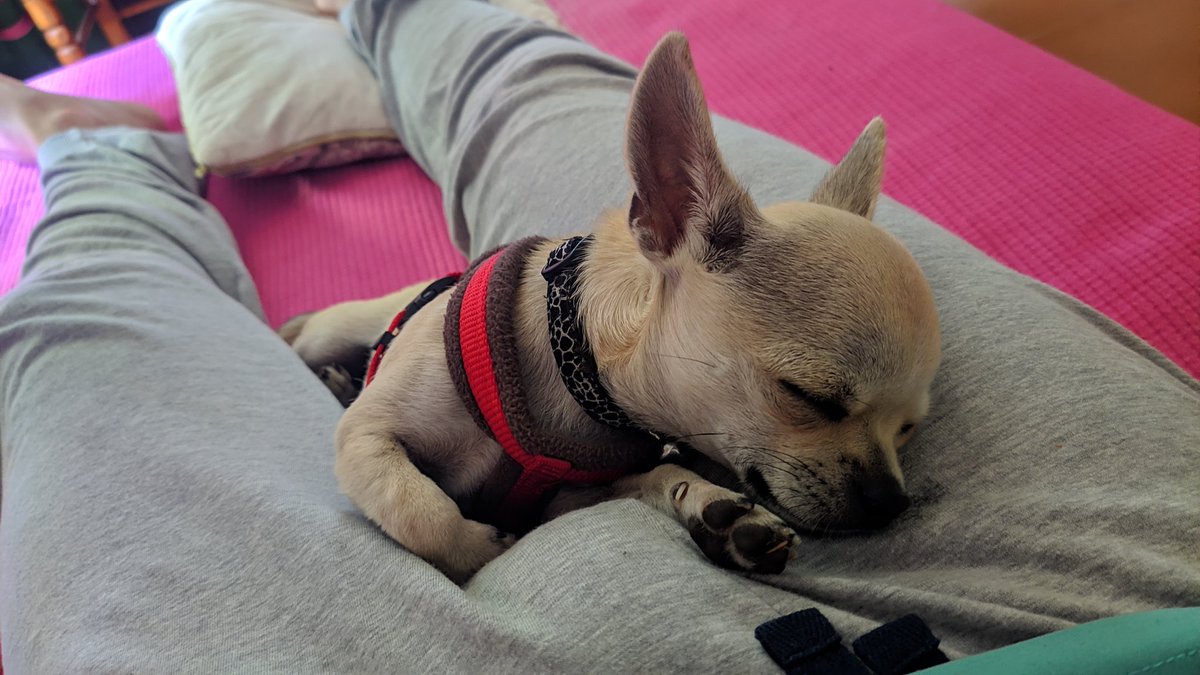 Pableras81's tweet photo. Mi pequeño Padawan ❤️ https://t.co/k8ZFHYizpZ