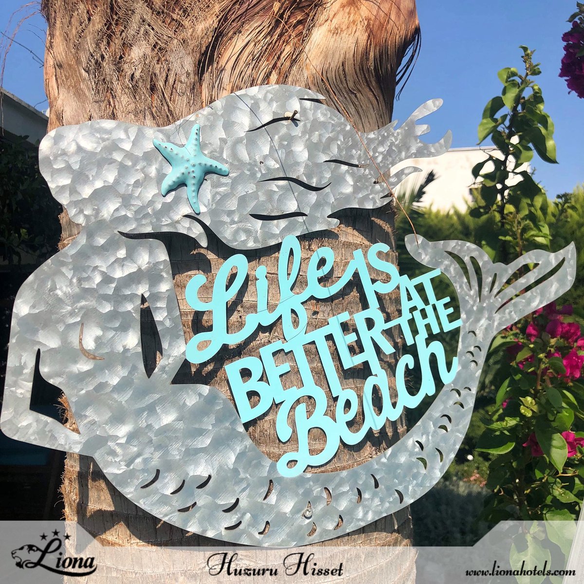 Bodrum’un en güzel zamanları başlıyor. 😍 
Siz de tatilin ve Bodrum’un tadını doyasıya çıkarmak için hemen rezervasyonunuzu yaptırabilirsiniz 🌿🐚
#huzuruhisset 

#bodrum