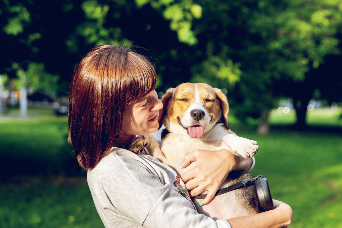 GNCPets's tweet photo. 900 mg of omega-3 fatty acids supports a glossy, silky coat while a tasty fish flavor supports your pup love for you. Sounds like a win-win.  https://t.co/cwvIqPwQox https://t.co/gFMsmPvKsN