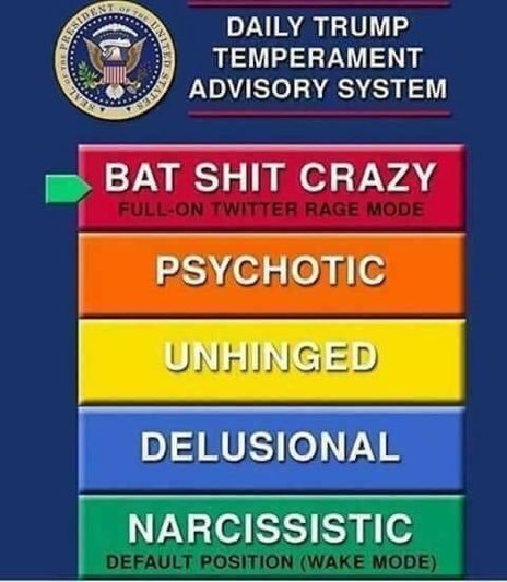 NJSforUS's tweet photo. @realDonaldTrump YOU. ARE. NOT. MENTALLY. FIT. TO. BE. POTUS.
#DerrangedDonald
#ImpeachTrump https://t.co/yADBbUYOmA