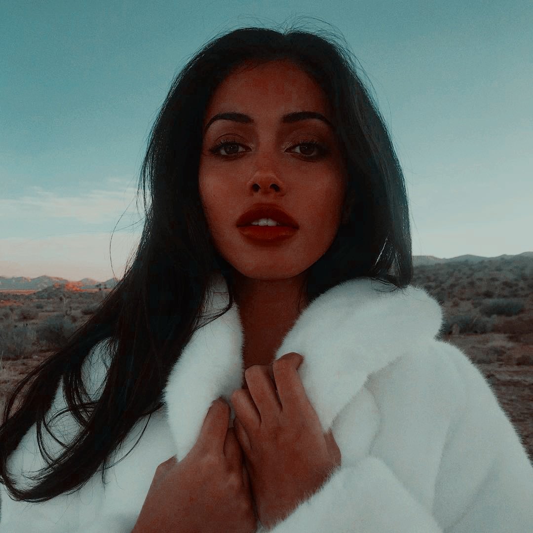 Spinelli. tweet media