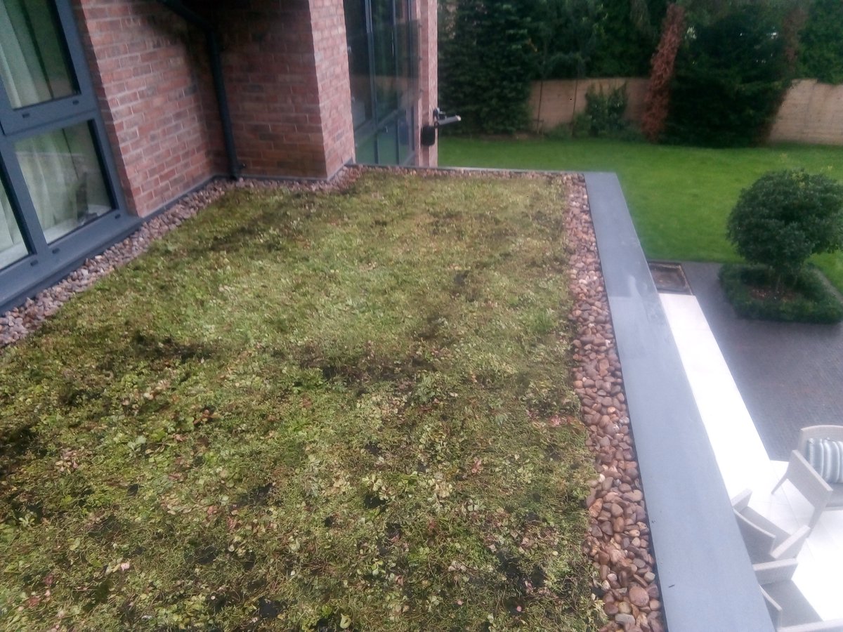 mancgreenroofs's tweet photo. #greenroof #Optigreen #wilmslow https://t.co/A1quMlkymk