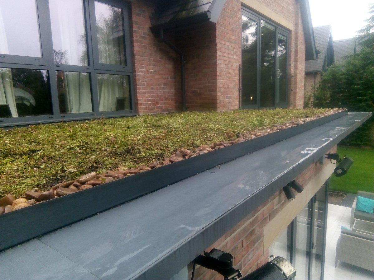 mancgreenroofs's tweet photo. #greenroof #Optigreen #wilmslow https://t.co/A1quMlkymk
