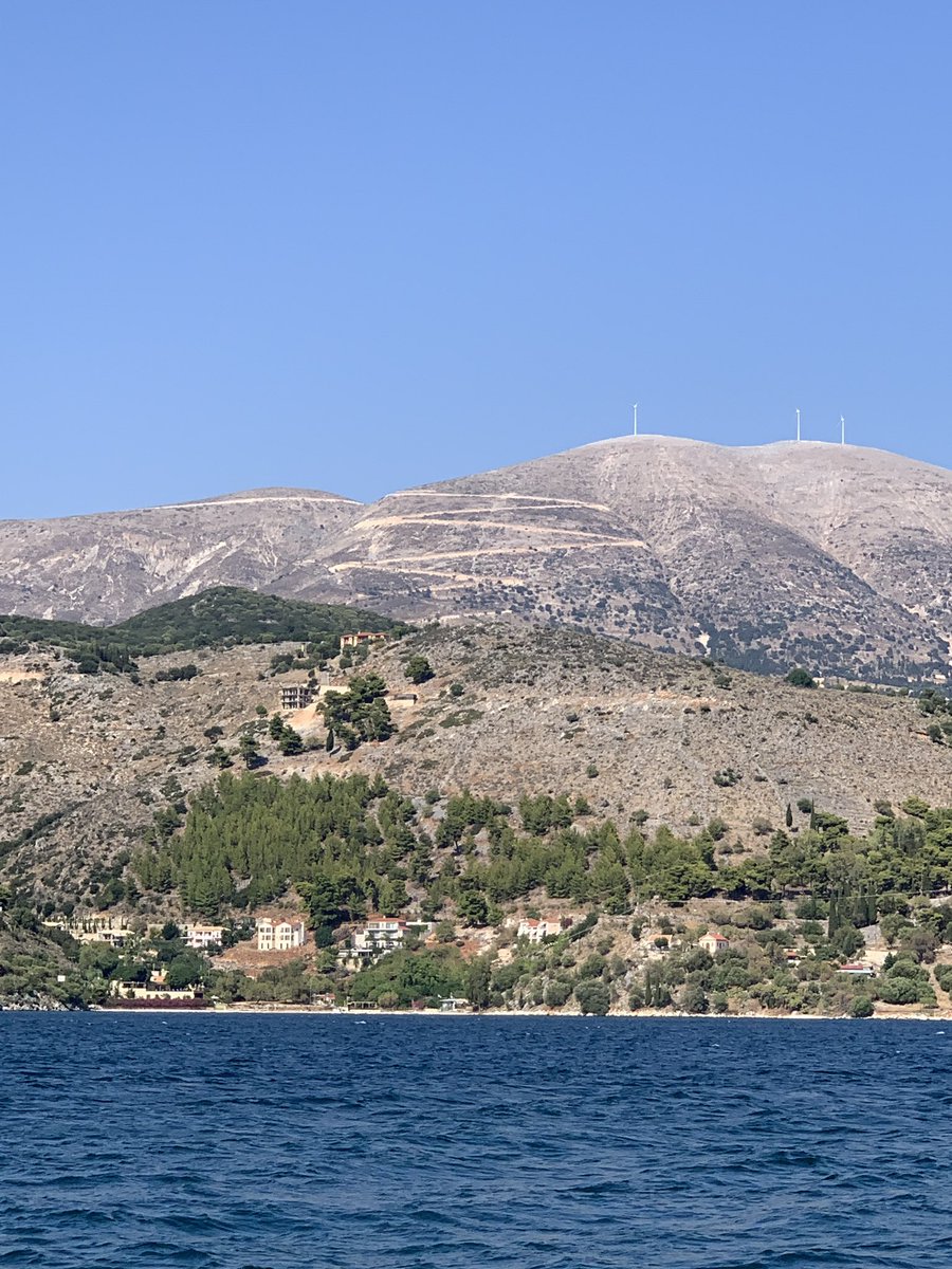 Hayley Warner tweet media