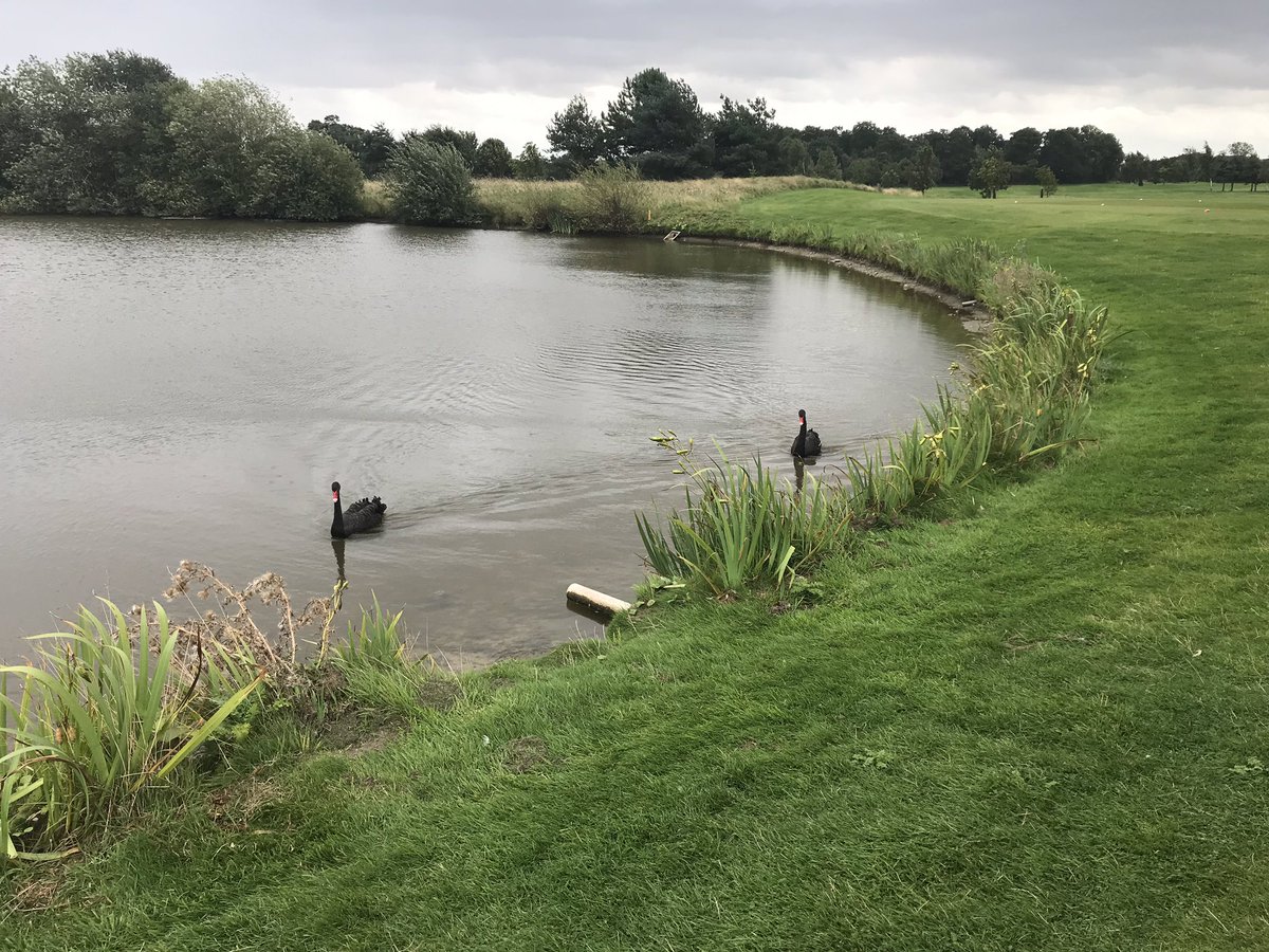 parkska's tweet photo. Practice round #ping4bbb 2019 https://t.co/PbaVY2Sfm8