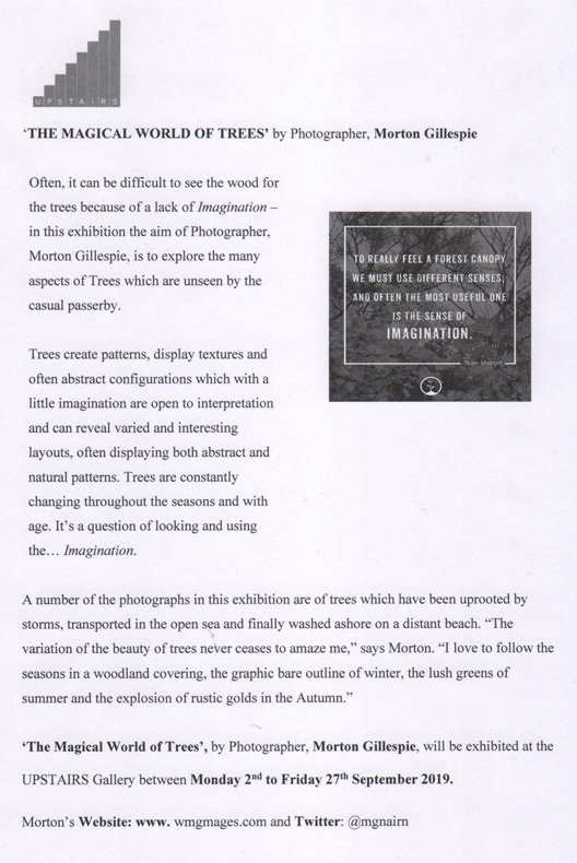 'THE MAGICAL WORLD OF TREES' - Photographer MORTON GILLESPIE ARPS <a href="/The_RPS/">The Royal Photographic Society</a> captures the beauty of trees through the seasons with a keen photographer's eye! <a href="/Upstairs_HRI/">UPSTAIRS</a> until 27th September wmgimages.com &amp; part of FLOW FRINGE <a href="/Flowphotofest/">FLOW Photofest</a>