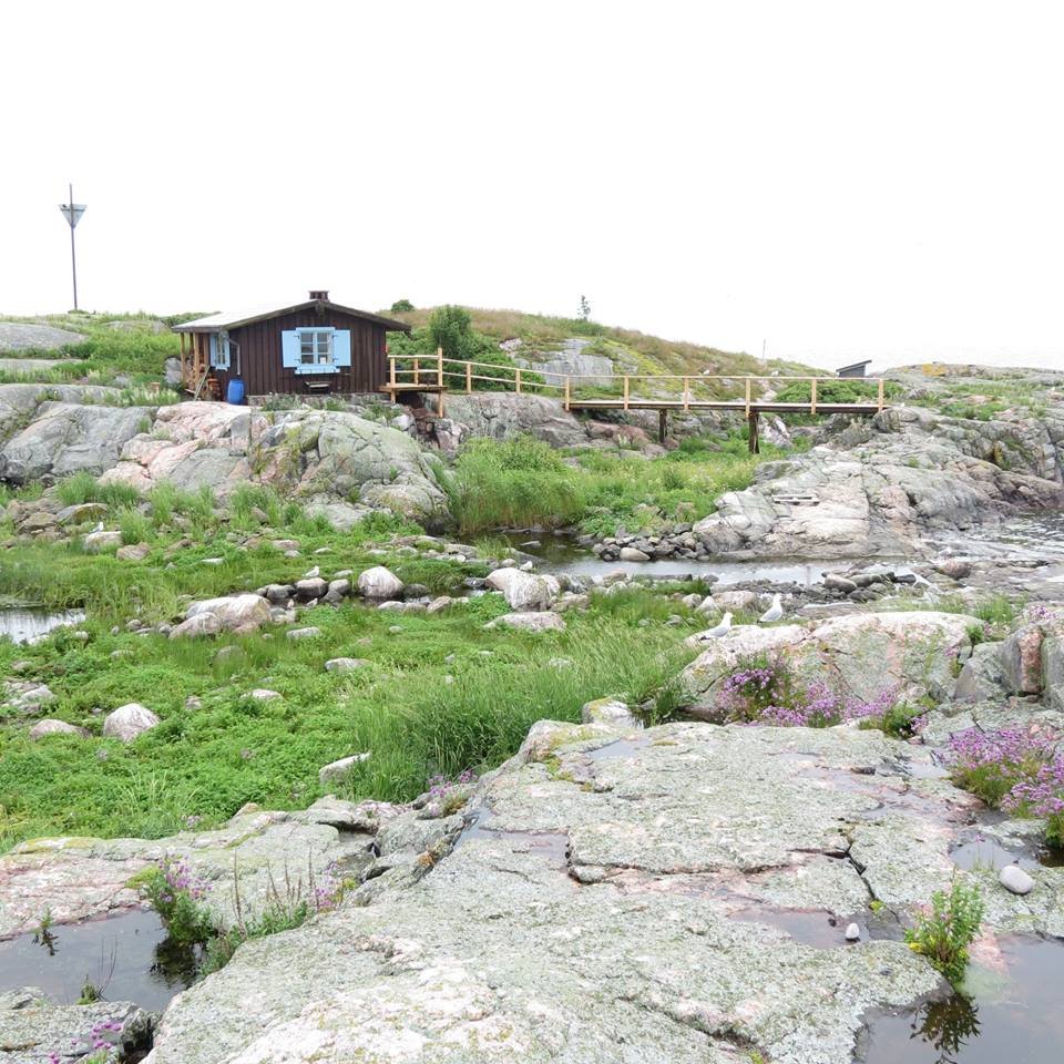 Tärkein #johtamistaito on #itsensäjohtaminen. Siihen sisältyy #rohkeus NAUTTIA kun on #tauonpaikka. #Työelämä on #tekniikkalaji - enemmänkin maraton kuin pikamatka.

#Suomenluonnonpäivä, mikä oiva syy pysähtyä!

#johtamistaidot #työhyvinvointi