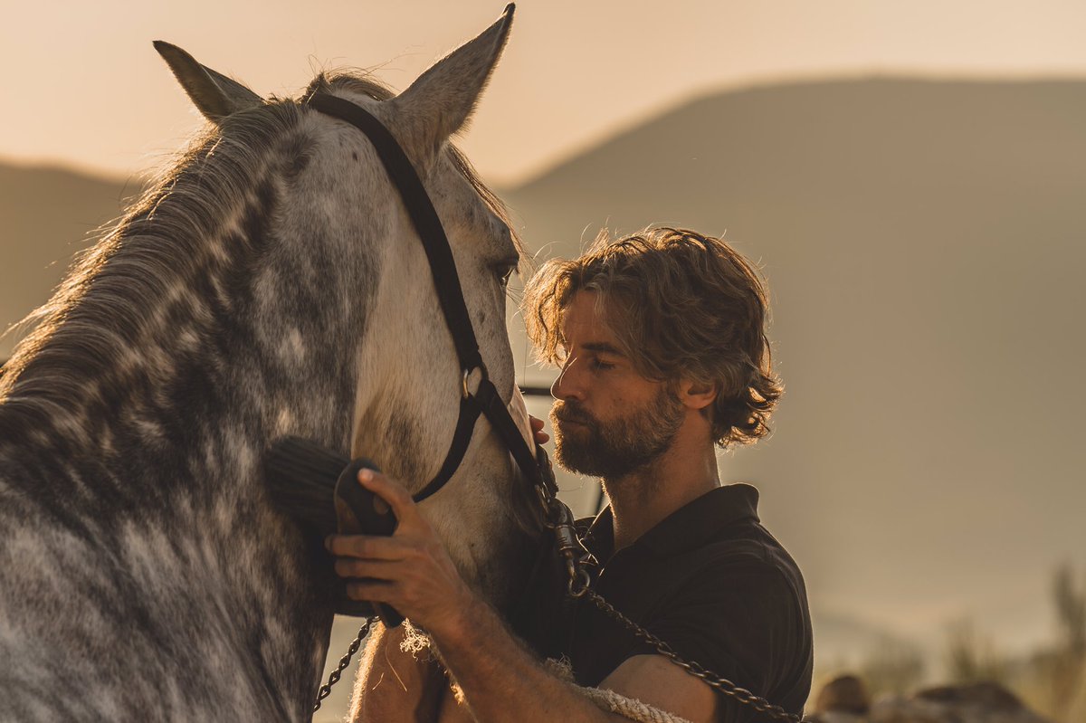 ladonaira's tweet photo. Nuestra yeguada es parte del eco retiro de lujo y granja orgánica. Tenemos 80 lusitanos que viven en 700 hectáreas de bosques  y praderas. Desde hace 10 años, en el programa de cría seleccionamos un tipo deportivo de lusitano para la doma clásica y para la equitación. https://t.co/k5llW2rKGu