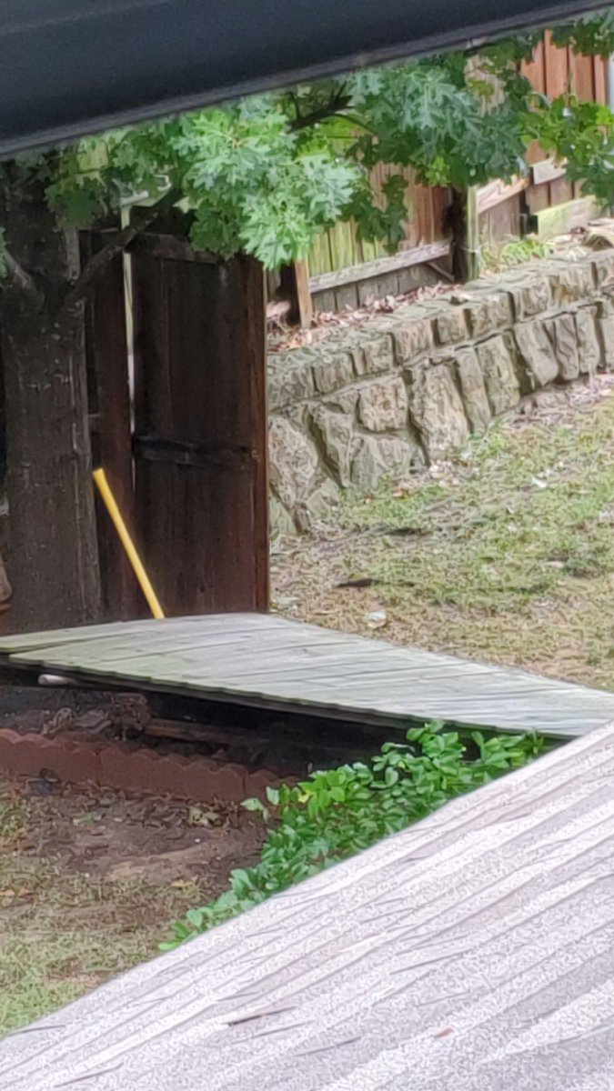 MagnaGam1ng's tweet photo. So there was a rainstorm this morning. I just have to say hearing fences fall due to the howling of the wind isn't a way to wake up. https://t.co/xGkwPe3p8N