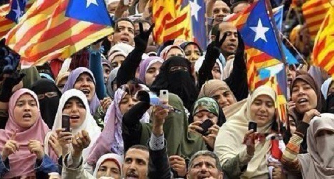 ❌🅲🅰🆁🅼🅴🅽 tweet media