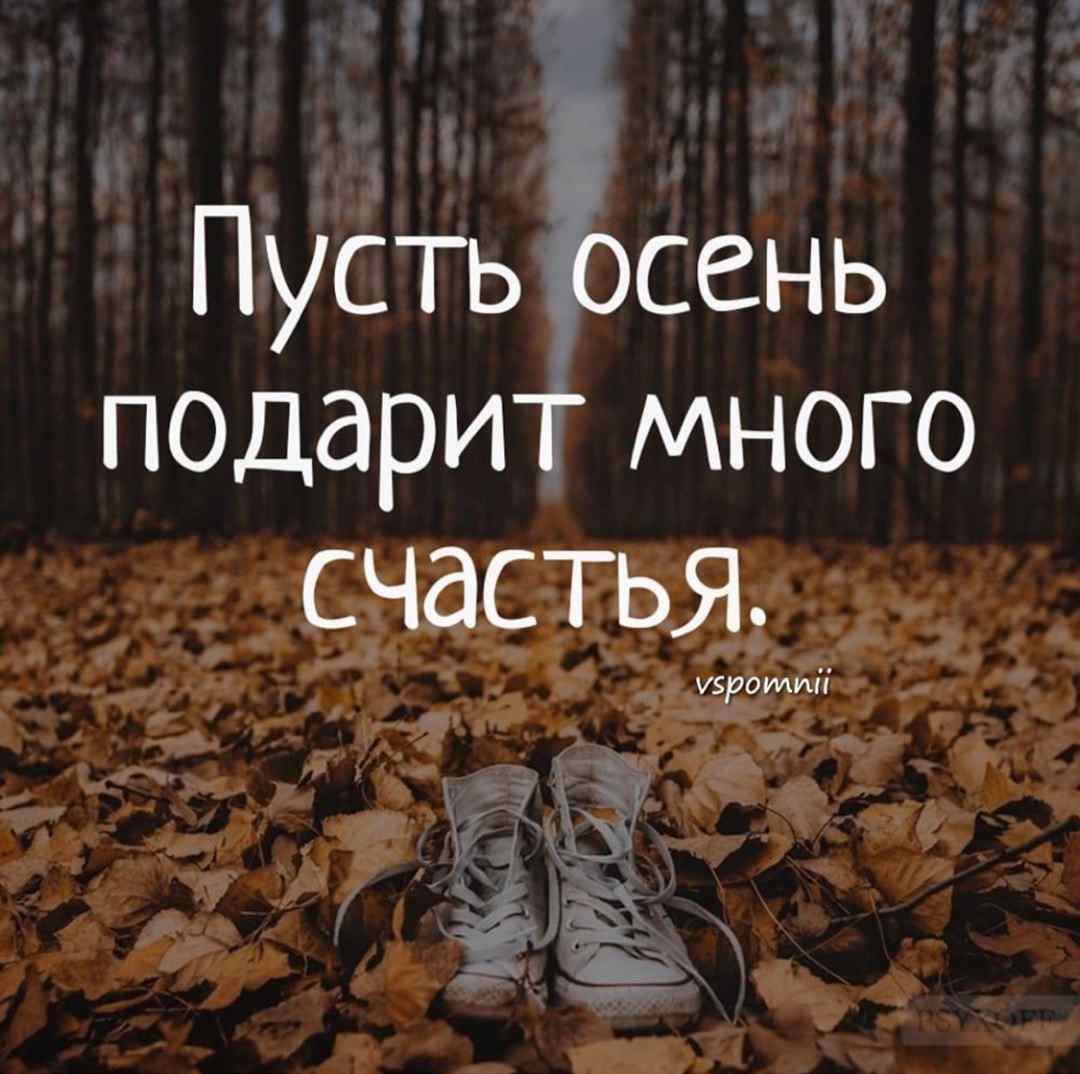 Осень подари счастье