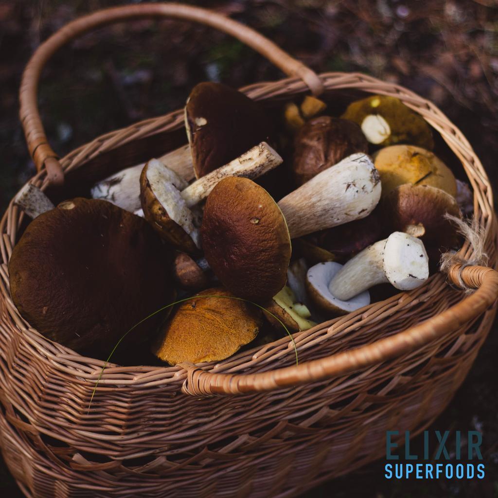 Elixir_sfs's tweet photo. So what does Keto Mushroom Coffee taste like? 

We'll let Morgan tell you - 

KMC was everything I didn’t know I wanted in a cup of coffee! It is incredibly smooth and creamy with a hint of sweetness. I didn’t need to add anything to enhance the flavor... https://t.co/xw2YOAJuKb