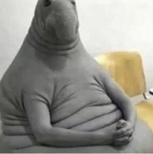 ElusivezzYT's tweet photo. @FortniteGame How the epic employees be sitting there not fixing anything https://t.co/jvhqYXgeBV