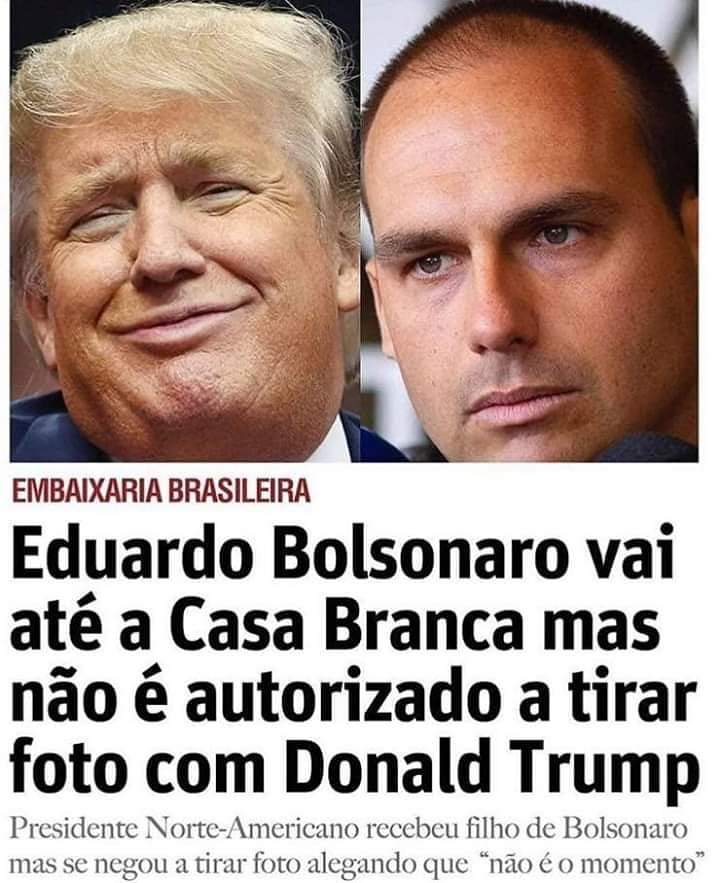 A vida de vira-lata é dura 🤣🤣🤣🤣