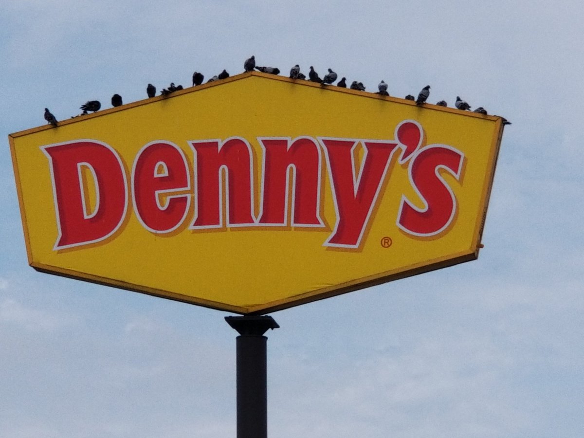 Macrosoft4's tweet image. Bird, party of 20