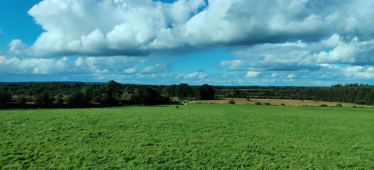 tomasocarthaigh's tweet photo. What a lovely #sky here at #ballygar today...

#lesserknownireland #tomcartyphotos https://t.co/QyH3obdWYf