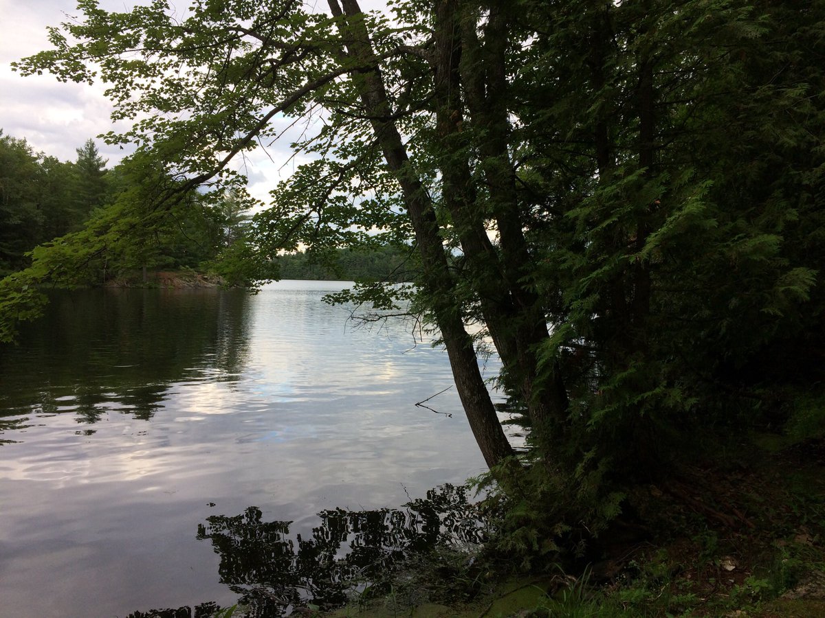 SharbotLakePP's tweet photo. Sharbot Lake is full for the remainder of the Labour Day Weekend but we encourage you to hike the Discovery and Ridge View Trails during the day! #Hiking #Trails #DiscoveryTrail #RidgeViewTrail #SharbotLakeProvincialPark #SharbotLakePP #OP #HPHP https://t.co/VM2musSZ6r