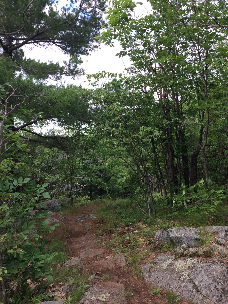 SharbotLakePP's tweet photo. Sharbot Lake is full for the remainder of the Labour Day Weekend but we encourage you to hike the Discovery and Ridge View Trails during the day! #Hiking #Trails #DiscoveryTrail #RidgeViewTrail #SharbotLakeProvincialPark #SharbotLakePP #OP #HPHP https://t.co/VM2musSZ6r