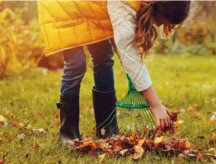 GerardsProperty's tweet photo. Autumn tips to keep your garden looking smart   https://t.co/3vhe612heS https://t.co/sjV5RjiU9R