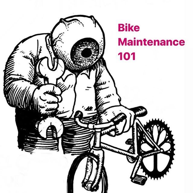 The Bicycle Tree tweet media