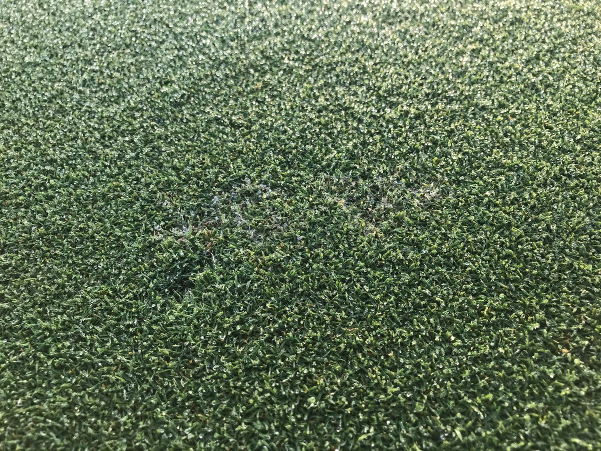 kennethdclayton's tweet photo. Labor Day weekend check up. Shorter days and cooler nights are much welcomed. #smithkerns #clipvol #TDR350 #Dollarspot #augustroots https://t.co/ICeCvR4Mfm