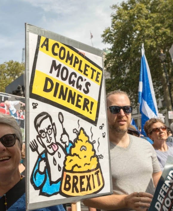 pickledpuffin's tweet photo. @acgrayling Two of my faves. https://t.co/nZl5BZfBcP