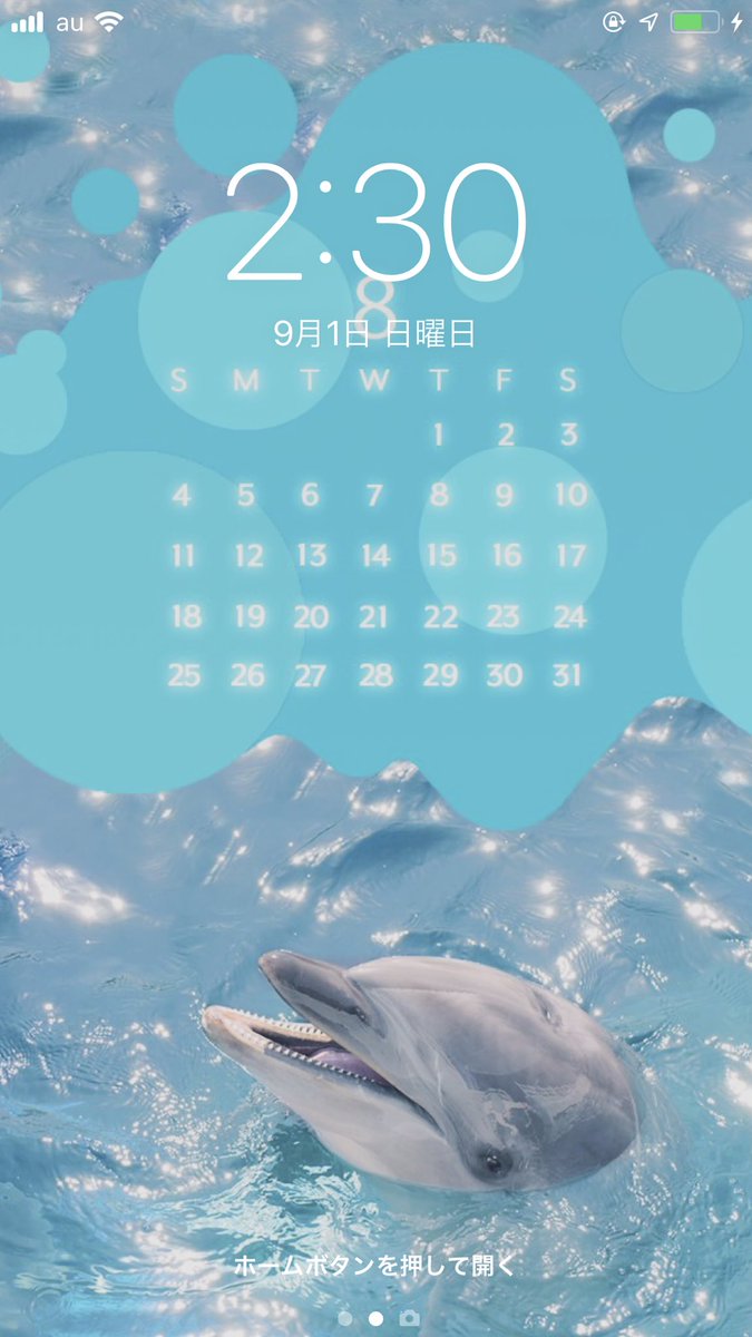 𝐀𝐲𝐚𝐦𝐨𓅩 𝐫𝐨𝐥𝐚 𝐤𝐚𝐧𝐚 𓍯 お気に入りだった京都水族館のイルカ壁紙ともお別れの9月 ずっと保存しとこ