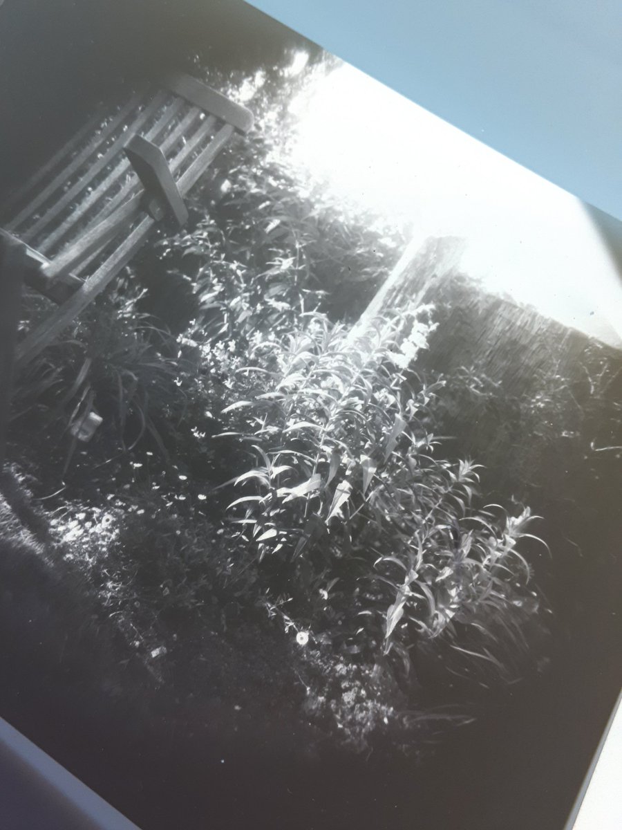 sunny16podcast's tweet image. Vault-Tec Mk I made. This is what happens when it rains and I can't go out to play. Picture is an inverted paper negative