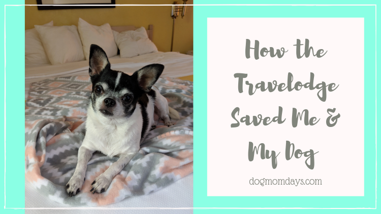 DogMomDays's tweet photo. .@WyndhamHotels Travelodge staff in Santa Rosa, NM took it upon themselves to care for my dog when I was rushed to the hospital on Tuesday. #travelodge #newmexico #dogfriendly https://t.co/EwJpiGR8kg https://t.co/PsBA9b6k9T