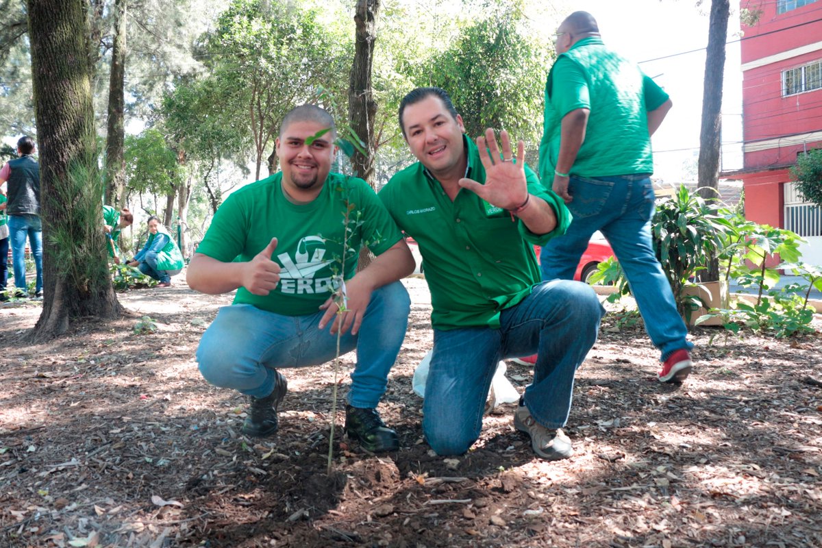 CarlosMadrazoS's tweet photo. Esta mañana tuve el honor de visitar la alcaldía #MiguelHidalgo, como parte de la #JornadaDeReforestación 2019. Niños y adultos, vecinos de la localidad, se sumaron a esta actividad tan importante para mejorar la calidad del medio ambiente en nuestra Ciudad. https://t.co/QZEzrv6vwK
