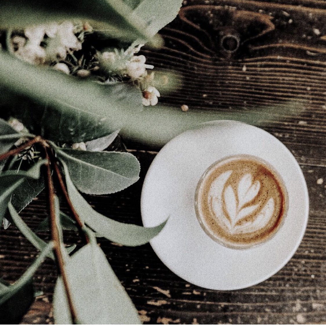 Happy Saturday!
📷 <a href="/thecoffeenomad/">TheCoffeeNomad</a>