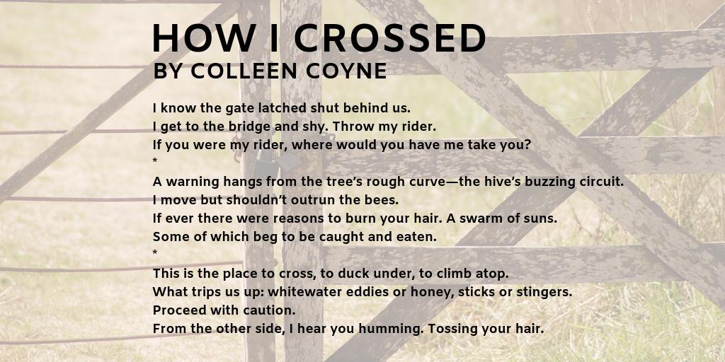 HMBMag's tweet image. I know the gate latched shut behind us.
I get to the bridge and shy. Throw my rider.
If you were my rider, where would you have me take you?

--How I Crossed by @ColleenCoyne #poetry #poem
hotmetalbridge.org/crossed/