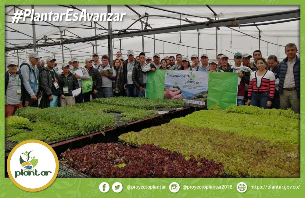 ProyectoPlantar's tweet photo. #PlantarEsAvanzar

En nuestro recorrido, también llegamos hasta el Centro de Bio-Sistemas Alberto Lozano Simonelli de la Universidad Jorge Tadeo Lozano, donde se realizan procesos de investigación y proyección social en áreas relacionadas con las Ciencias Naturales e Ingeniería. https://t.co/og8pBgOwB8