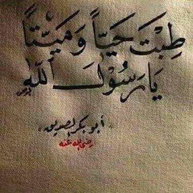 🦋🦋صفاء🦋🦋 القلوب💕 tweet media
