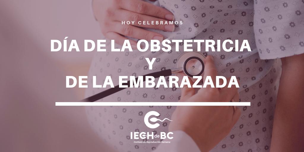 Hoy celebramos el Día de la Obstetricia y de la embarazada.

#amamoslavida #iechdebc #diadelaobstetricia #diadelaembarazada