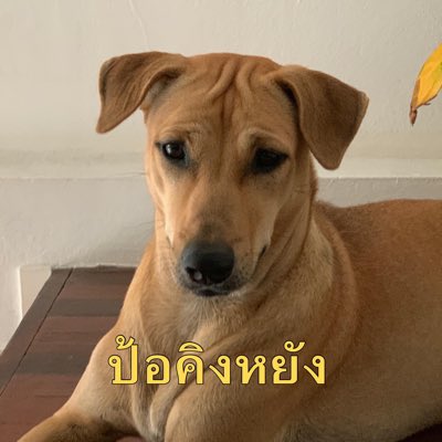 KLY____'s tweet photo. #NewProfilePic https://t.co/nDxcSsyLdq